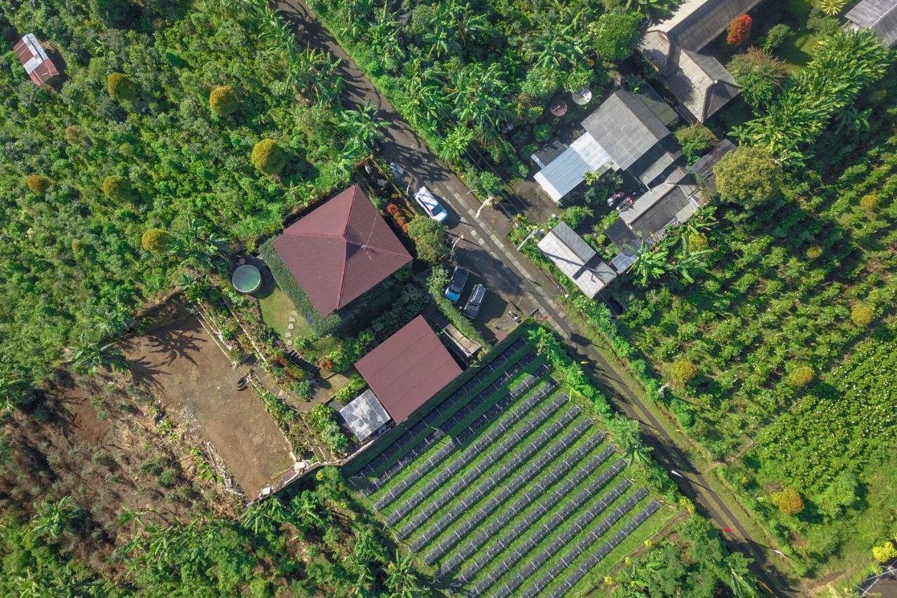 Kayukopi Villa Munduk Dış mekan fotoğraf
